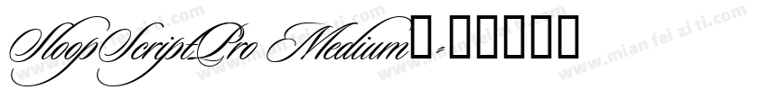 SloopScriptPro Medium◆字体转换